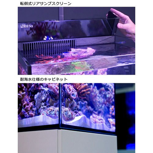 レッドシー MAX NANO G2 CUBE セット ブラック(旧LEDセット) 60Hz