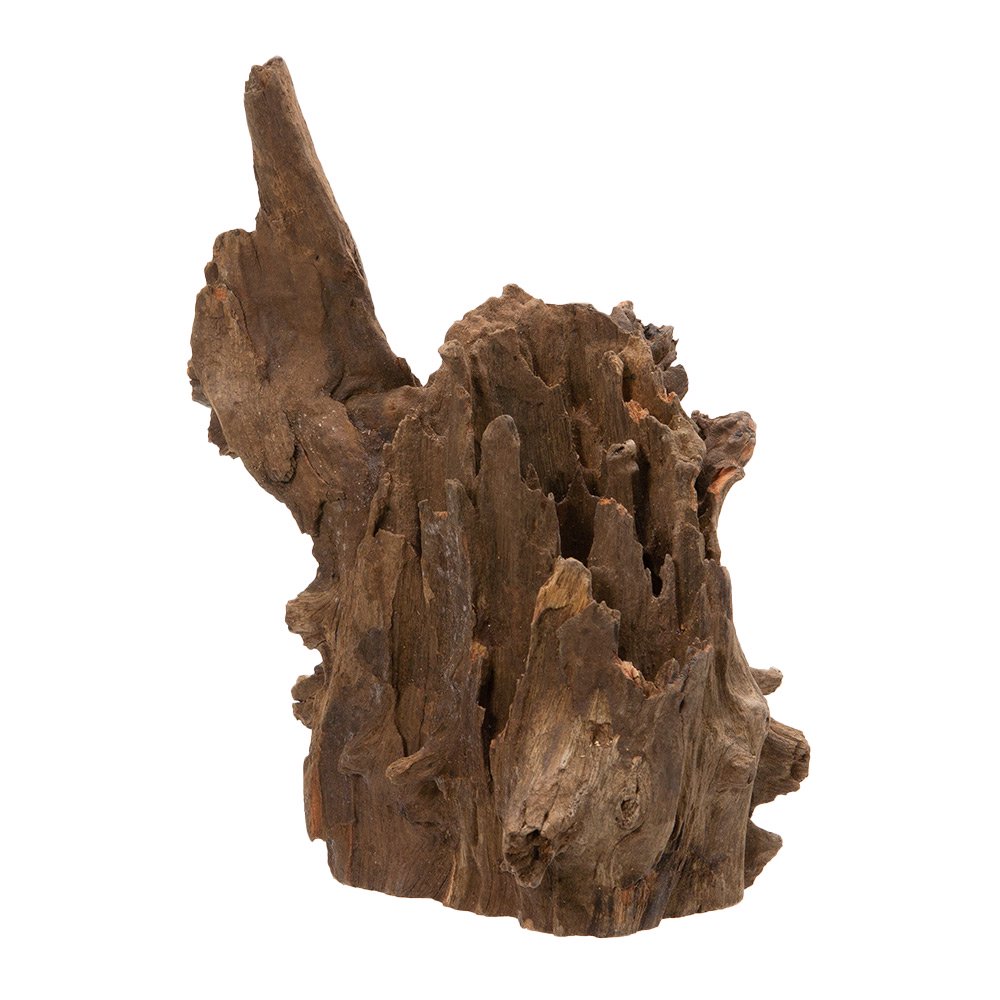 カミハタ タイ産天然流木 ツリーボトムウッド S 15×13×15cm