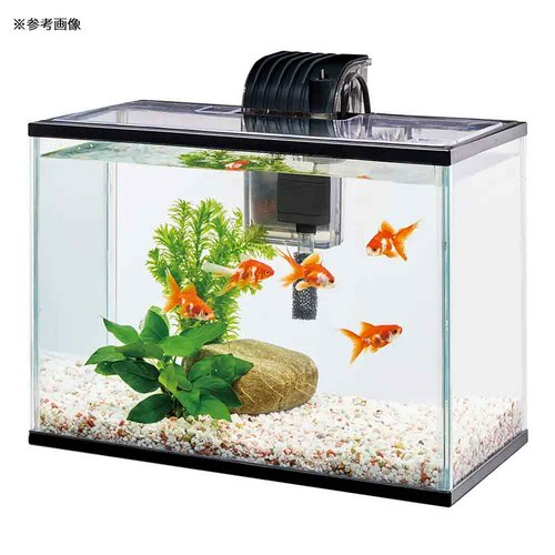 テトラ 金魚メダカのらくらくアクア L 幅39×奥行き21×高さ28.5cm