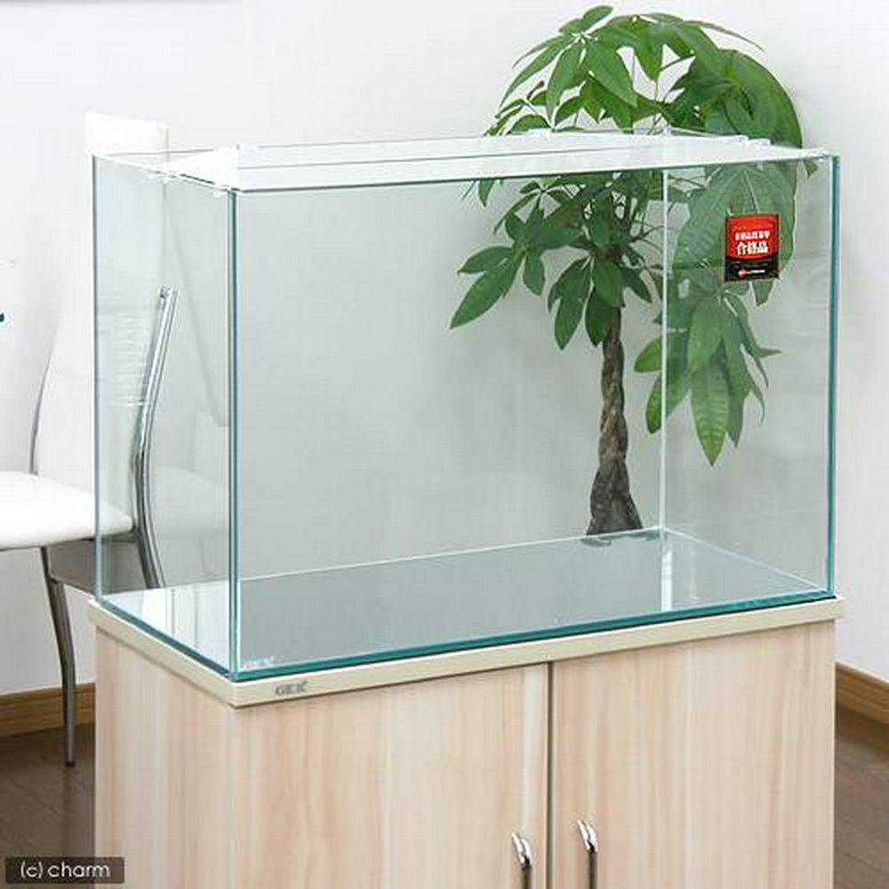 GEX ガラス水槽 グラステリア600 (60×30×40) 60cm水槽(単体