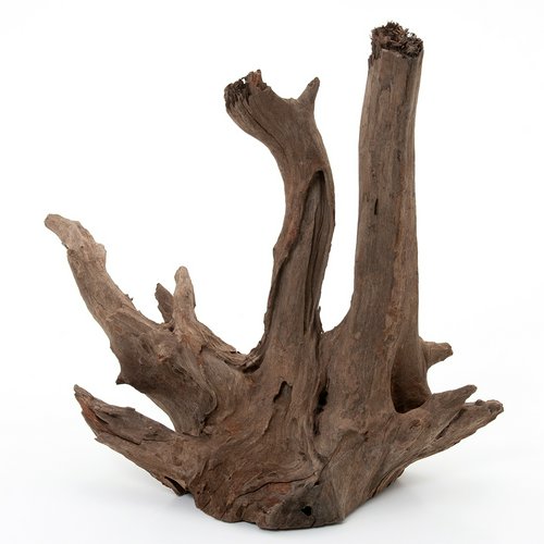 カミハタ タイ産天然流木 ダークホーンウッド XL 形状お任せ 未アク