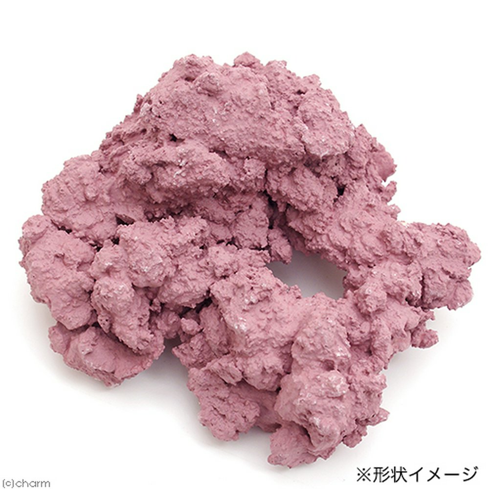 マメデザイン マメライブロック ライブロックレプリカ サンゴ フラグ