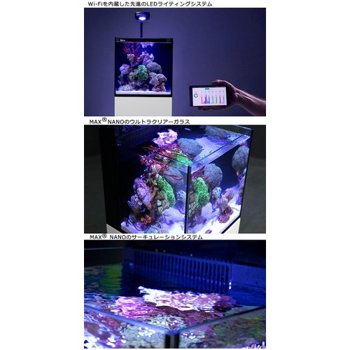 レッドシー MAX NANO G2 CUBE セット ブラック(旧LEDセット) 60Hz