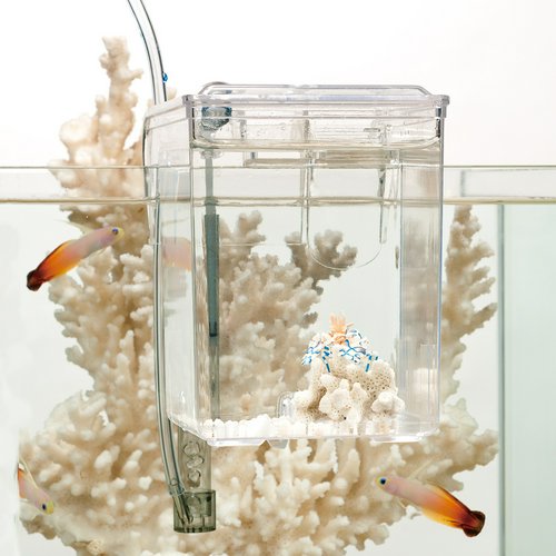 スドー 外掛式産卵飼育ボックス サテライトS | チャーム