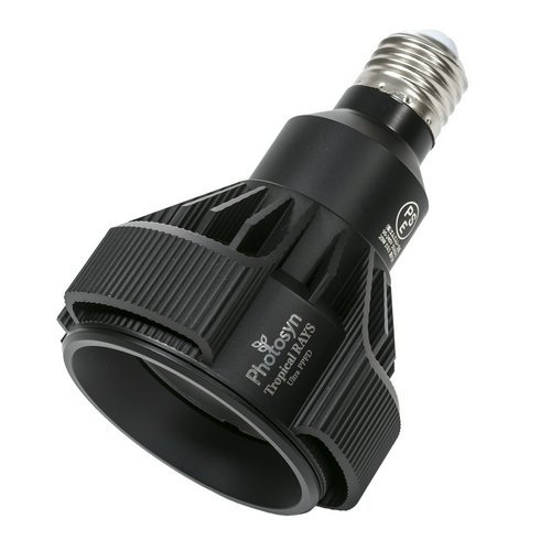 ZOOX LED RAYS Shallow Reef×2 レディオクリップS×1 ZOOX LED RAYS