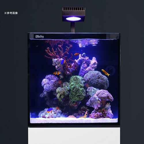 レッドシー MAX NANO ペニンシュラセット 白(旧LEDセット) 50Hz 東日本