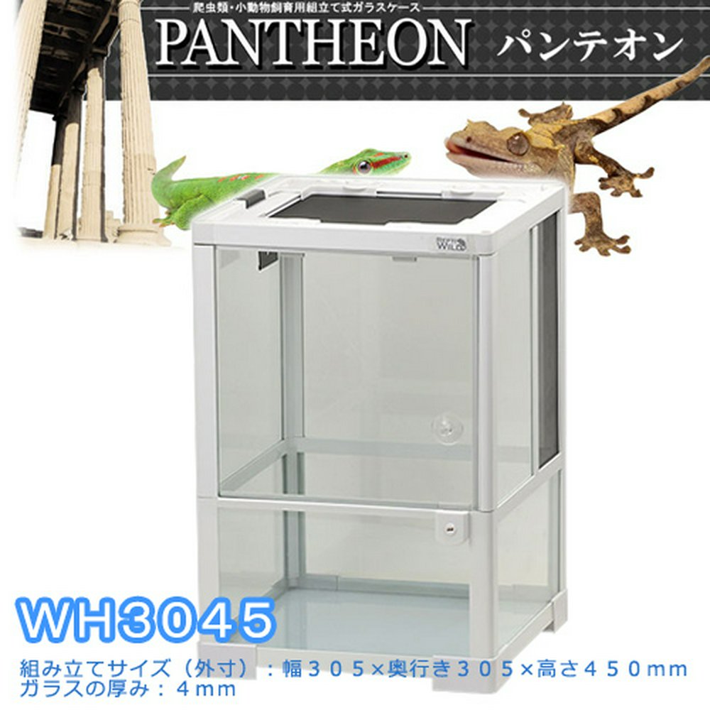 REPTI ZOO パンテオン6035 爬虫類ケージ 三晃商会 パンテオン6035(60.5