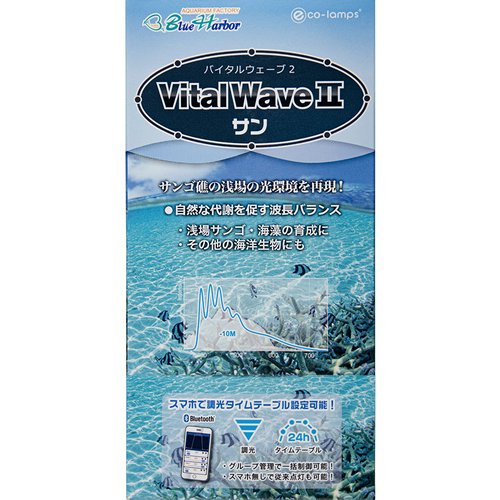VitalWave II サン バイタルウェーブ バイタルウェーブとサンゴの