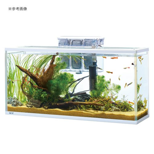 GEX スリムアクアセット 600スリム 水槽セット | チャーム