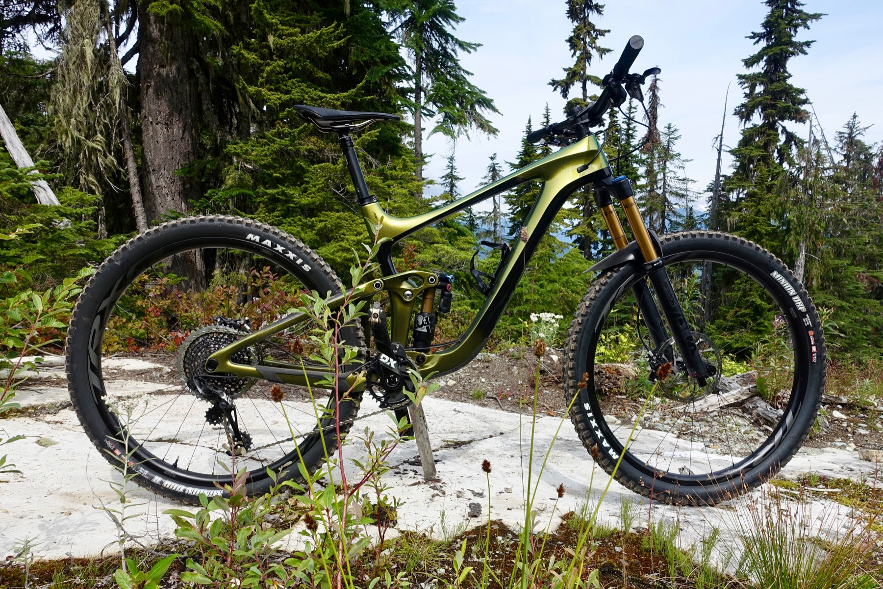 2020 Giant Reign 29ER (Mサイズ)セット
