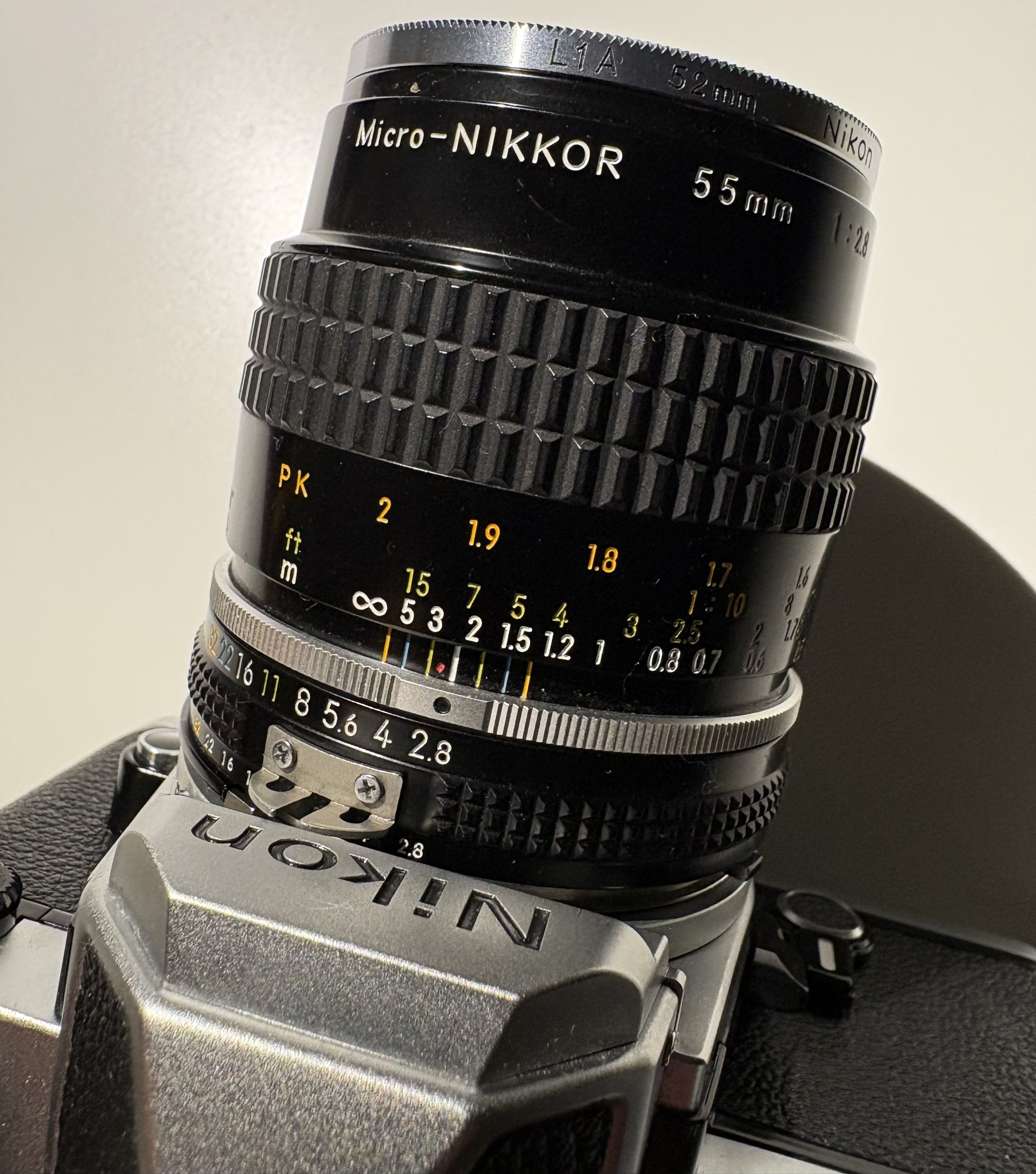 Continuing Adventures with the 55mm f/2.8 Micro-Nikkor — Blog