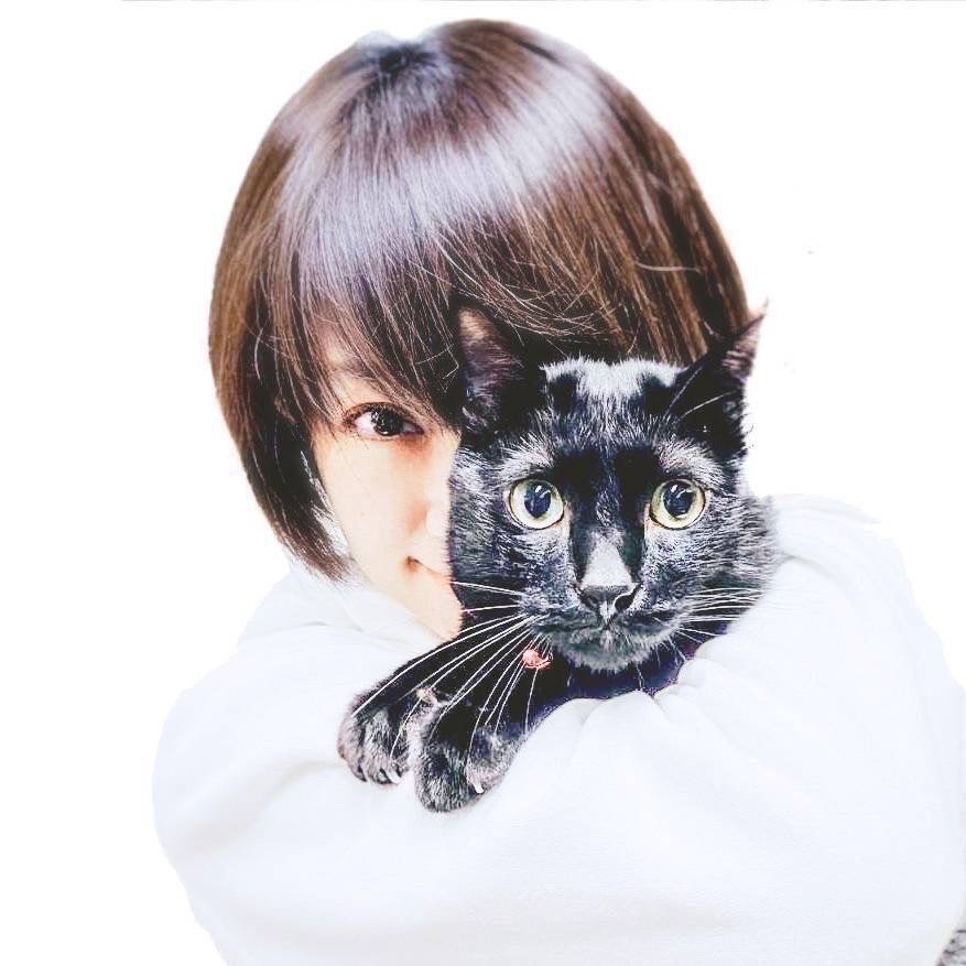 作家 野上千晶 猫 ボール 作家 野上千晶 猫 ボール 愛猫へのプレゼント