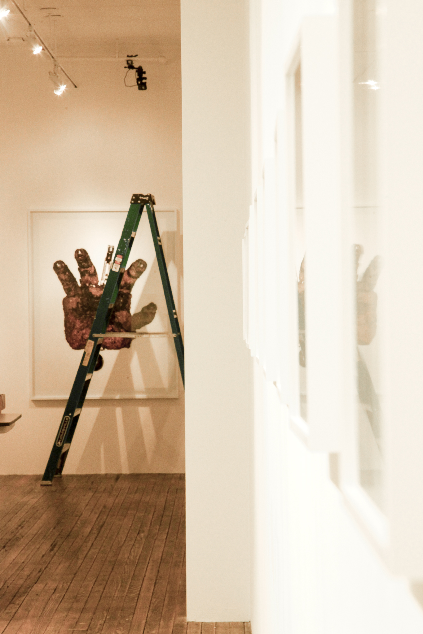 Henry Leutwyler Interview — Document — Suzanne Spiegoski