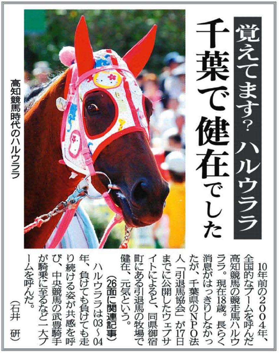 ハルウララ 現地単勝馬券 YSダービー特別 武豊 ウマ娘 競馬 高知