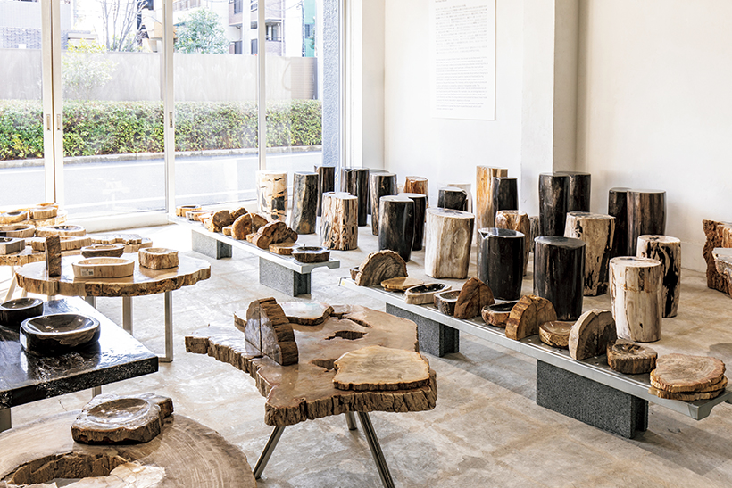 OAK Petrified Wood（オーク ペトリファイド ウッド）」で木の化石から