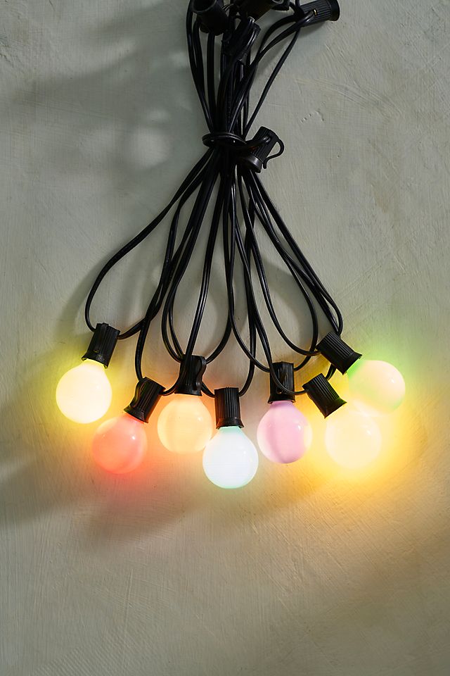 Stargazer Garden Lights, Set of 21 Bulbs, Pastille | Terrain
