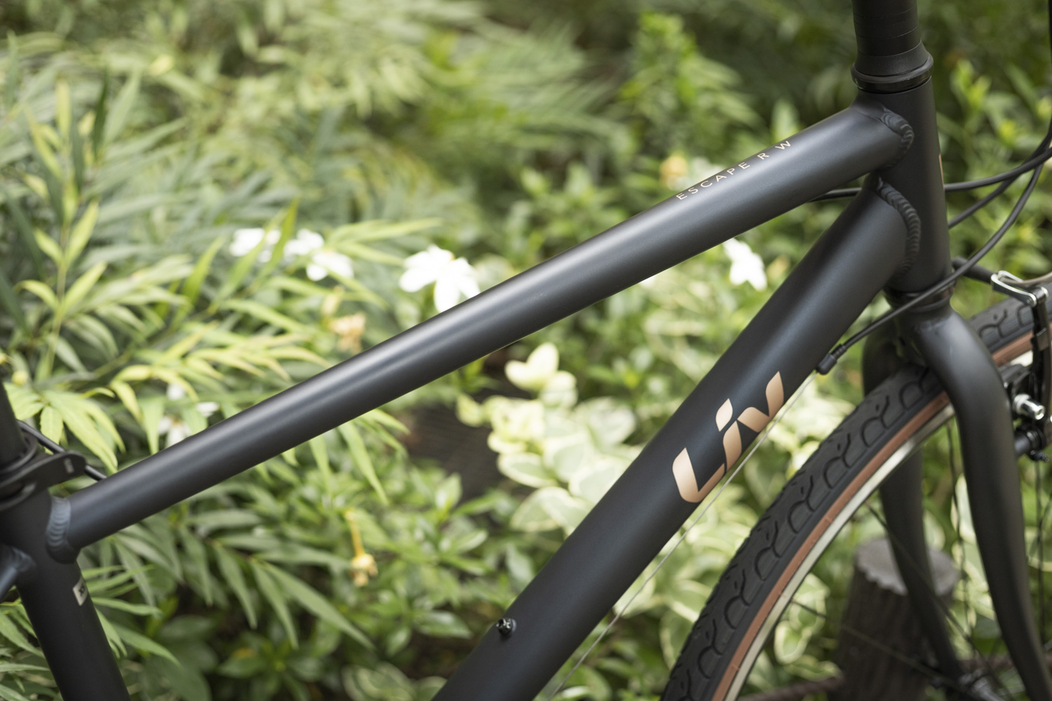 2026「ESCAPE R Wシリーズ」先行発売 Eバイク「ESCAPE R W E+」新色