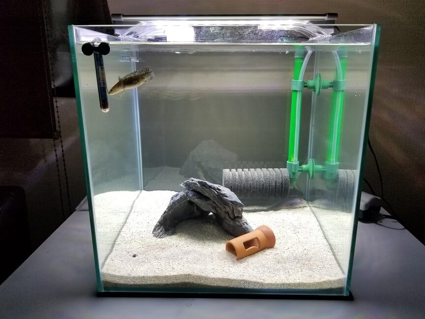 morizoADA ガラス水槽 30㎝キューブ セット ADA 30cm ガラスキューブ