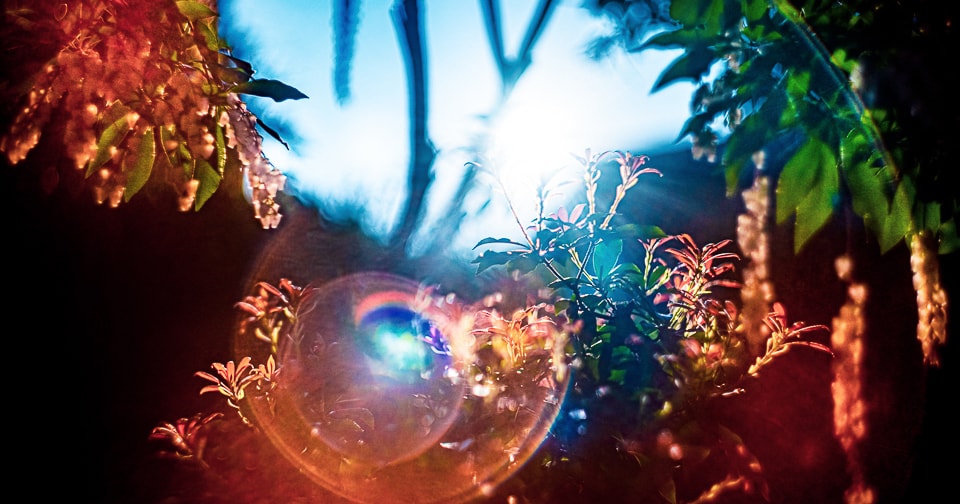 武田陽介 写真 現代アートプリント 072353 Yosuke Takeda