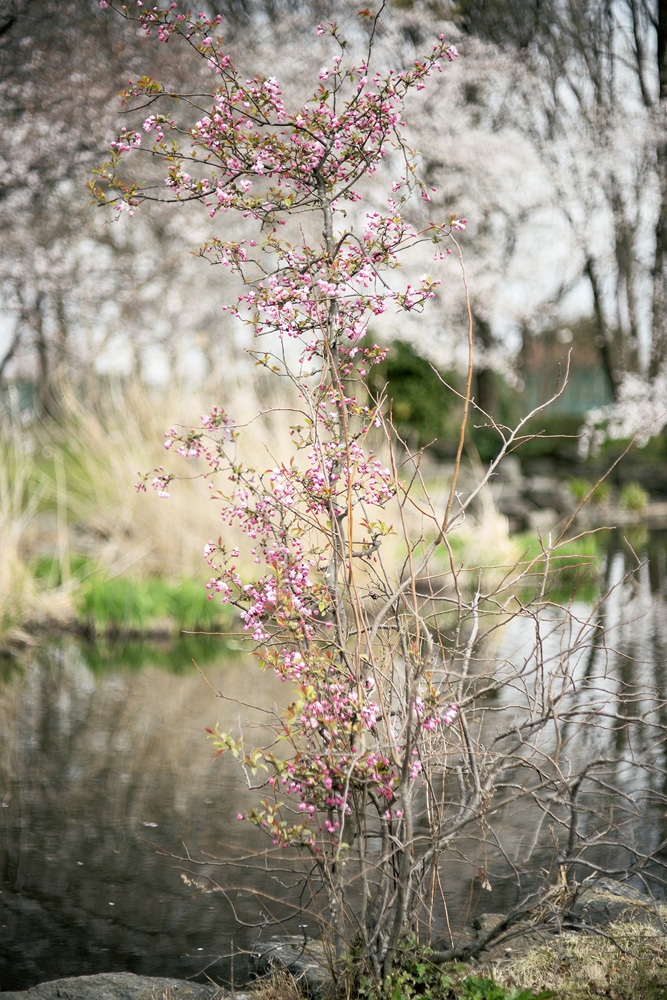 テリ・ワイフェンバック | IMAGRAPHY | IMA ONLINE