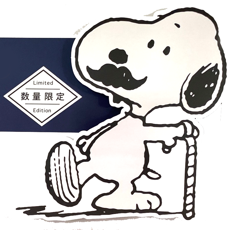 サラサナノ0.3/0.38mm☆スヌーピーモデル入荷！細くたってサラサラッと