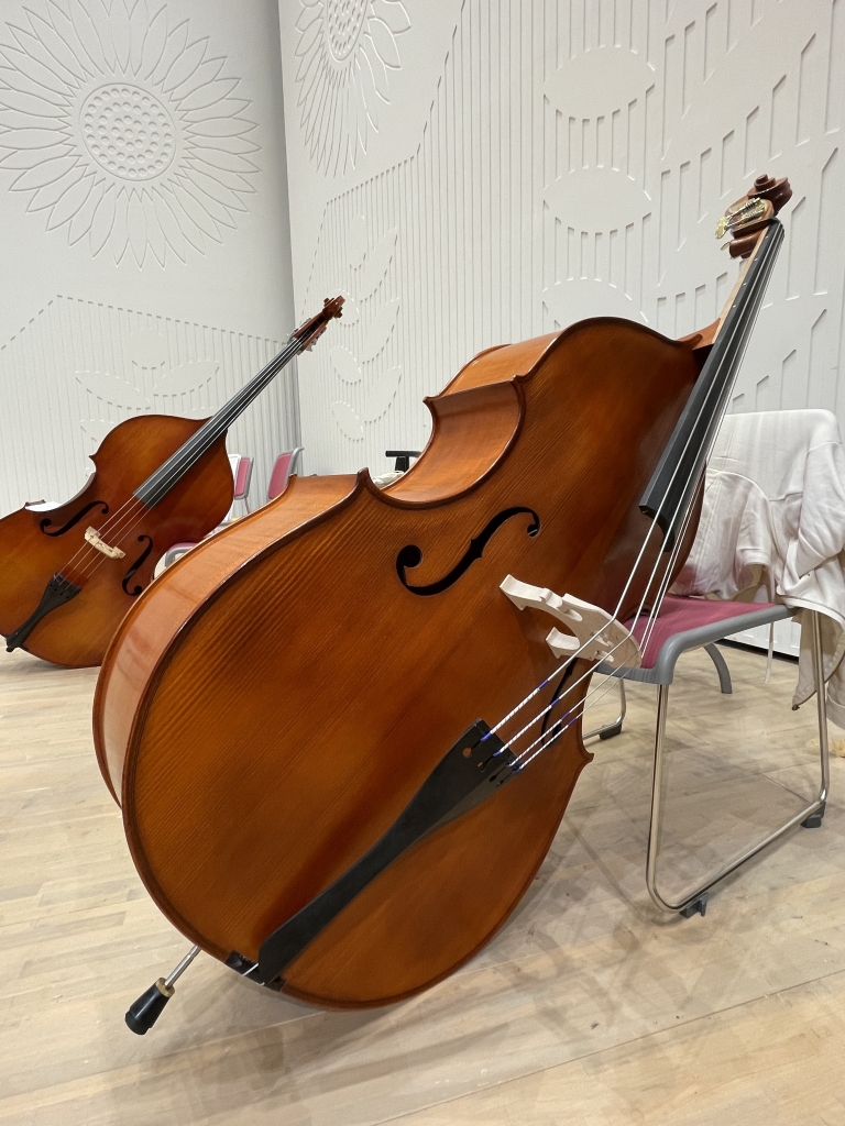 我が家にコントラバスがやってきた話。 | YOKOHAMAグリーン