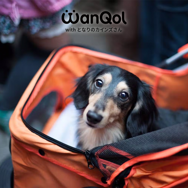 ペット用カート 3輪 ミッキーマウス(販売終了) | ペット用品（犬