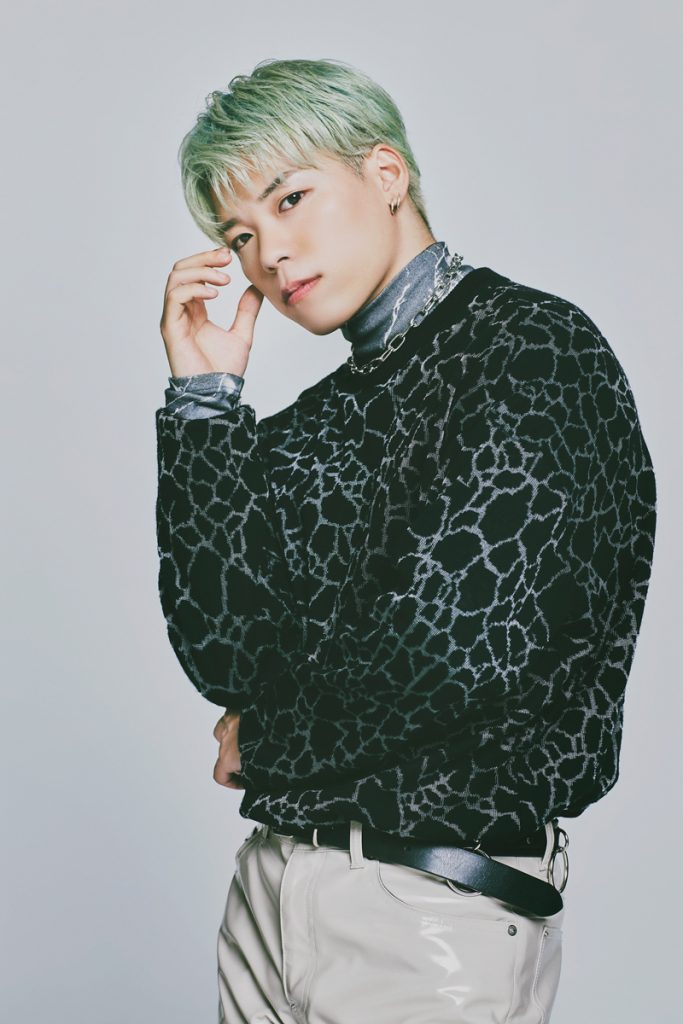 加納嘉将 アニバクッション