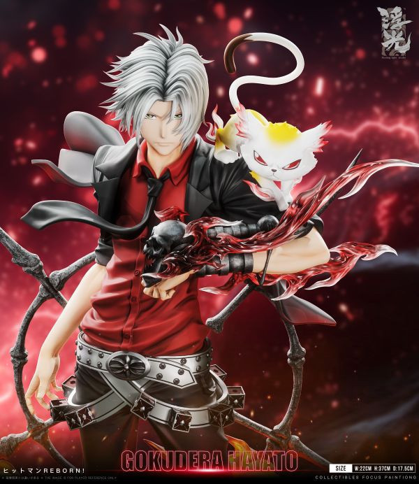 家庭教師ヒットマンreborn サザンクロス ccg 獄寺隼人 VR 獄寺隼人 12枚