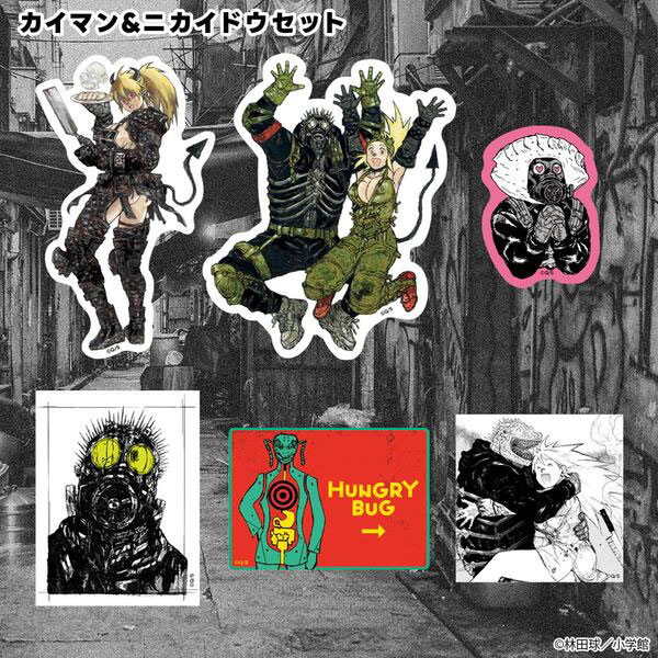 ドロヘドロクリアファイル 【公式通販】