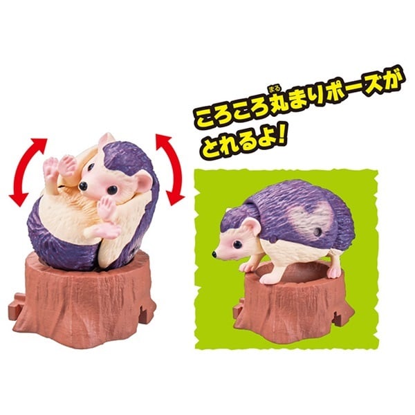 アニアキングダム 冒険大陸 アニアキングダム ハート（ヨツユビ