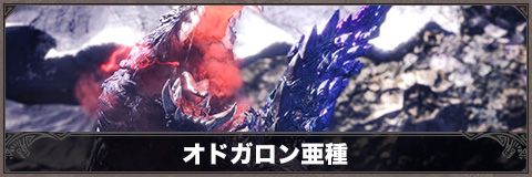 MHWアイスボーン】オドガロン亜種の攻略と対策・弱点【モンハン