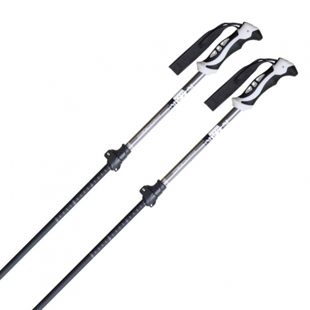 キザキ プロシードTLアルミ KPBB-9010 22-23年モデル スキー ポール