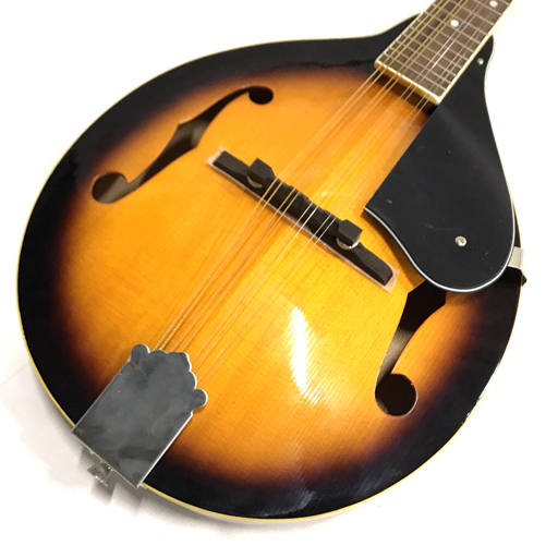 VISION フラットマンドリン A-Model VMA-38S VS VISION フラット