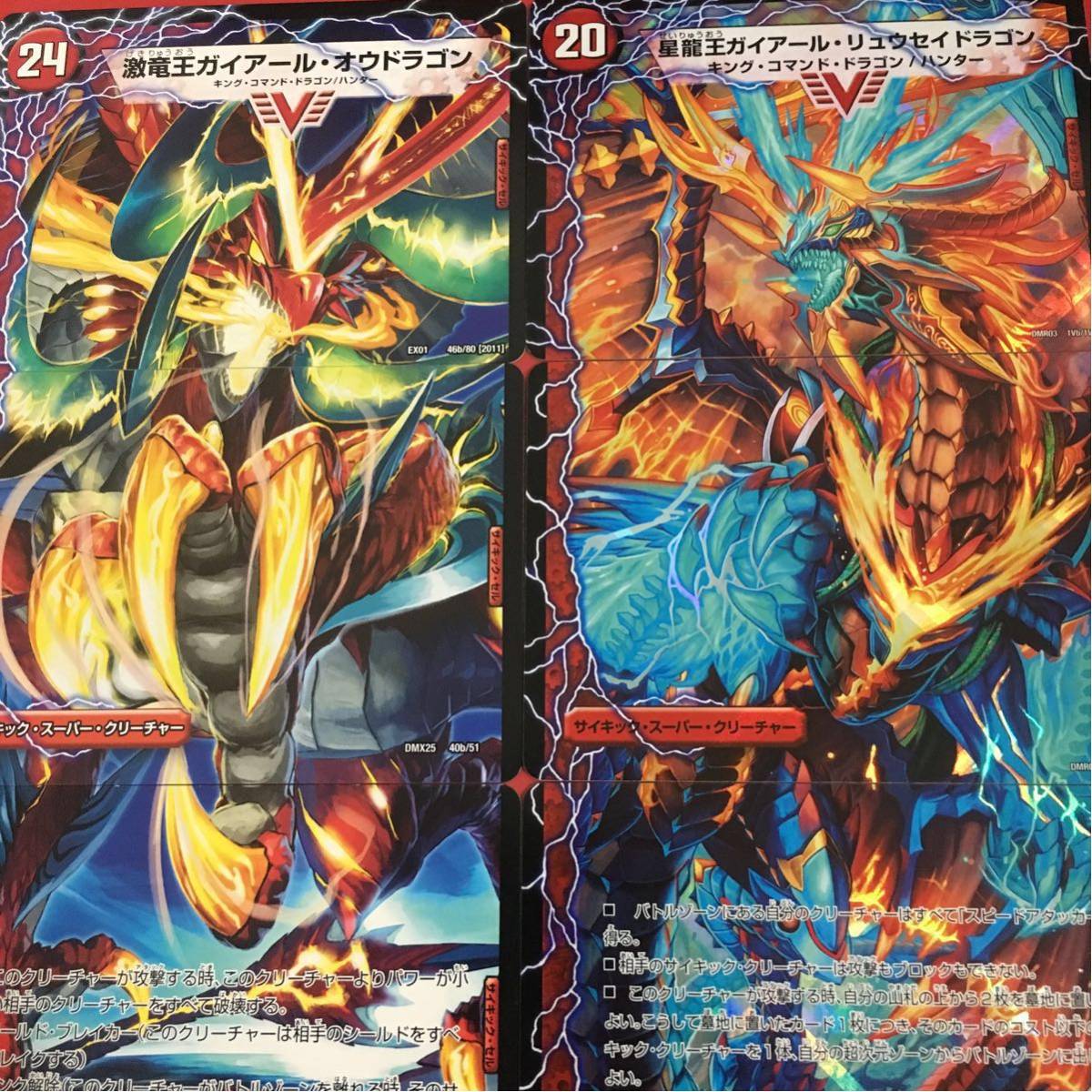 ガイアールオウドラゴン スリーブ ガイアールオウドラゴン スリーブ