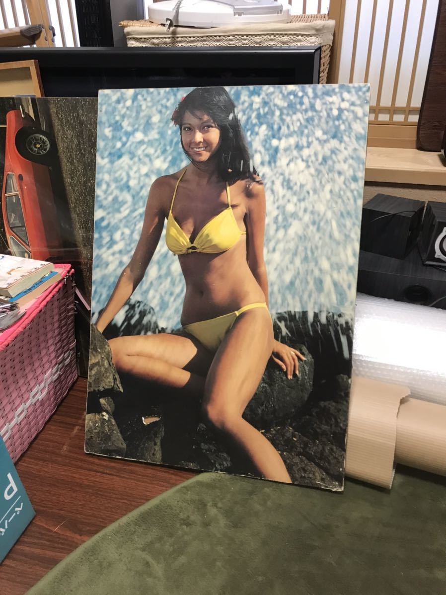 値下げ！景品つき！ついにでた！ハワイの女神アグネス・ラム全身パネル