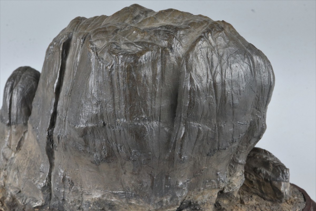 彩葉】 中国古玩 太湖石 奇形石 置物 唐木台付 鑑賞石 gE9