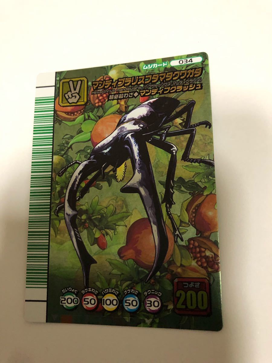 ムシキング マンディブラリスフタマタクワガタ 5周年記念 美品