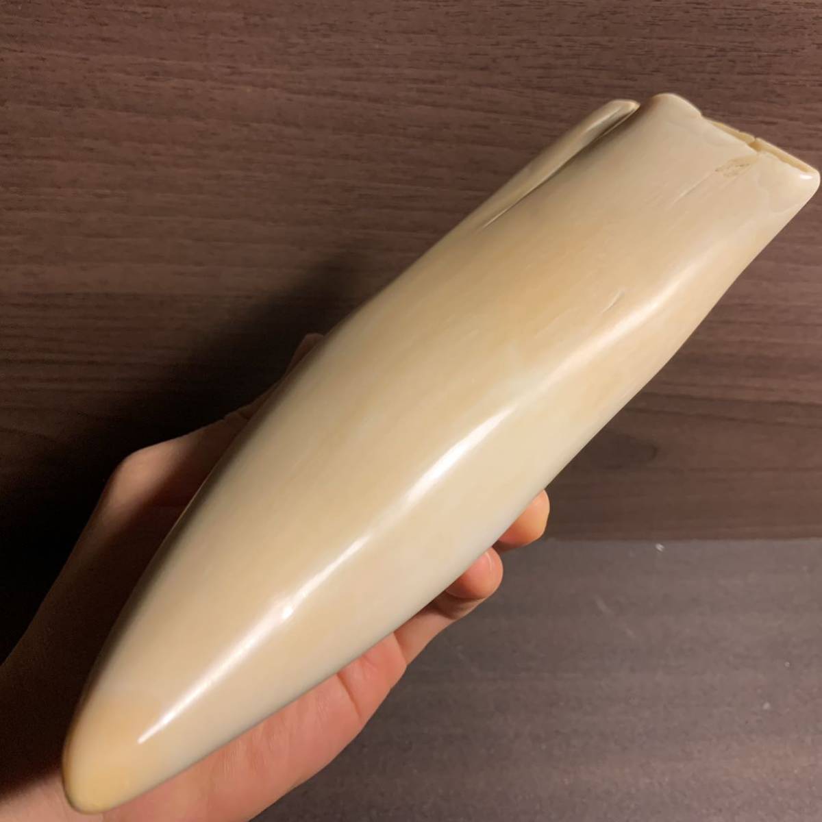 マッコウクジラの歯 根付け 印材 【公式通販】