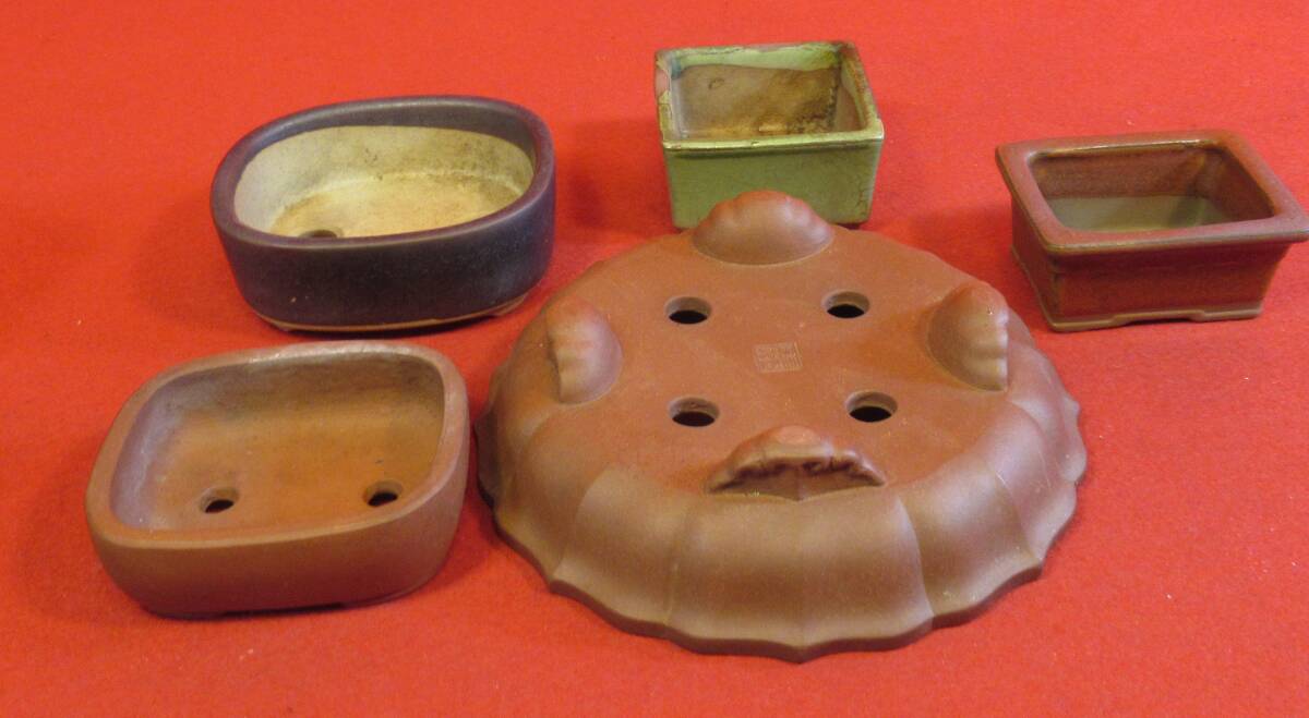 丸藤 中国鉢 盆栽鉢