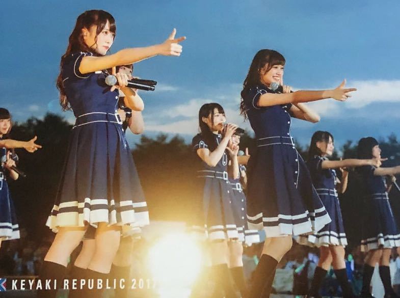 ひらがなけやき バラ売り ひらがなけやき バラ売り