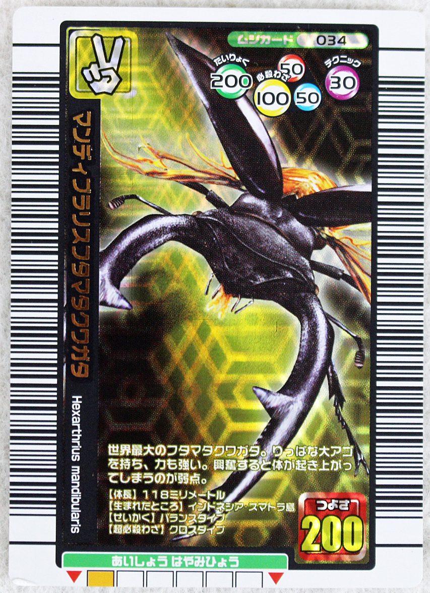 ムシキング 2005 マンディブラリスフタマタクワガタ アダー PSA10
