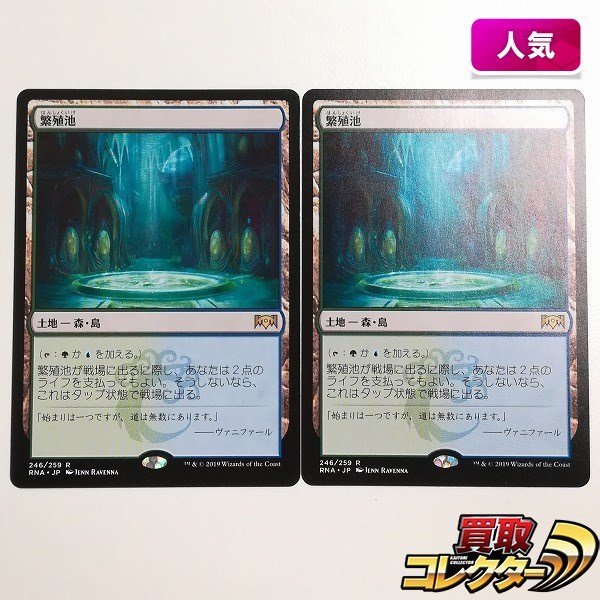 繁殖池 プレイマット mtg ギルド門侵犯 ショックランド ラヴニカ