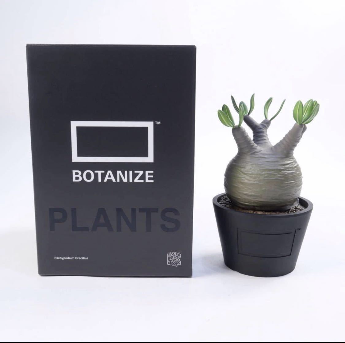 MEDICOM TOY × BOTANIZE VCD