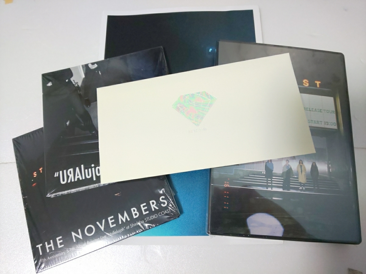 THE NOVEMBERS 11th Anniversary FILM 美しい日 △THE NOVEMBERS 11th