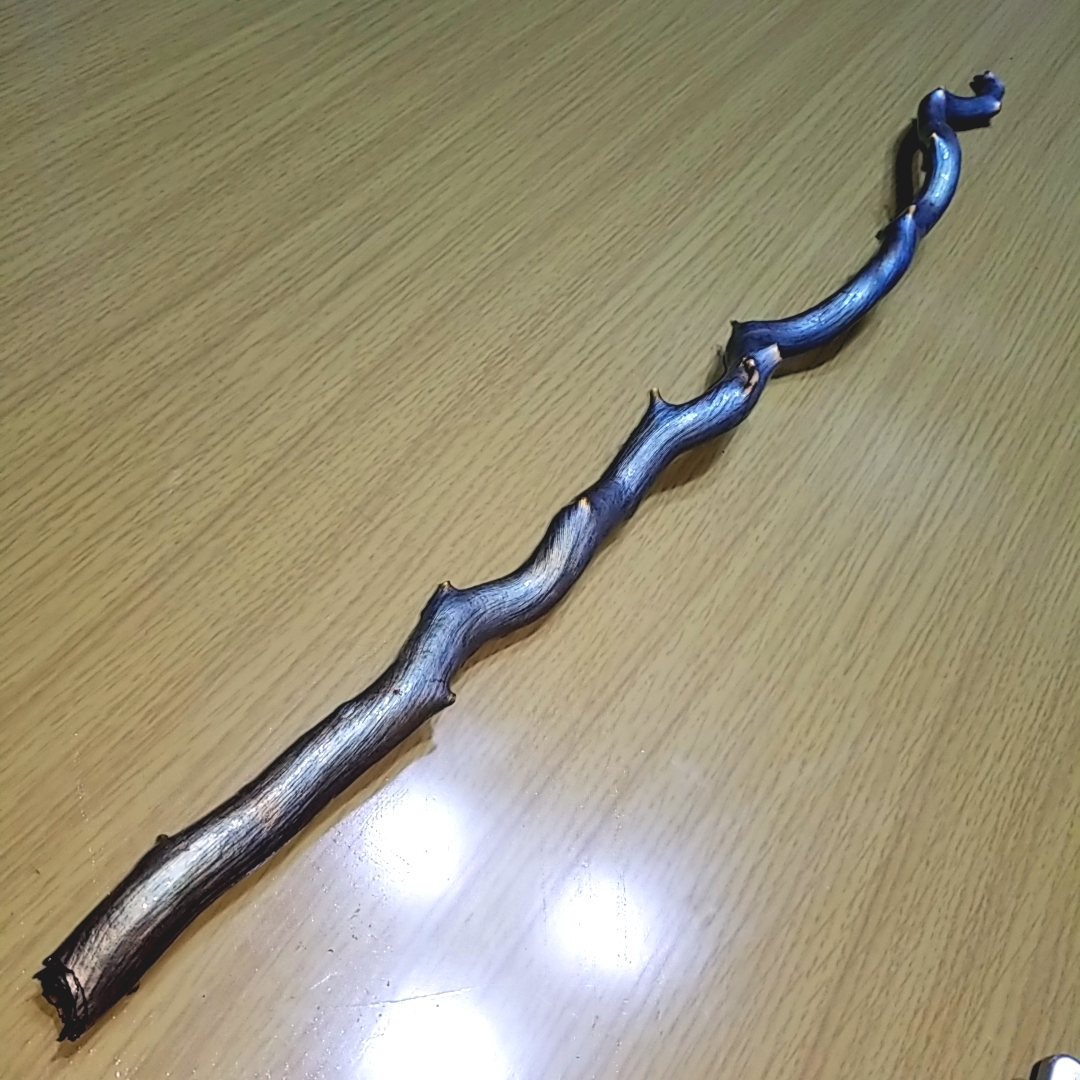 AKa6951 深海松 原木 レインボーコーラル 貝殻付 珍品 希少