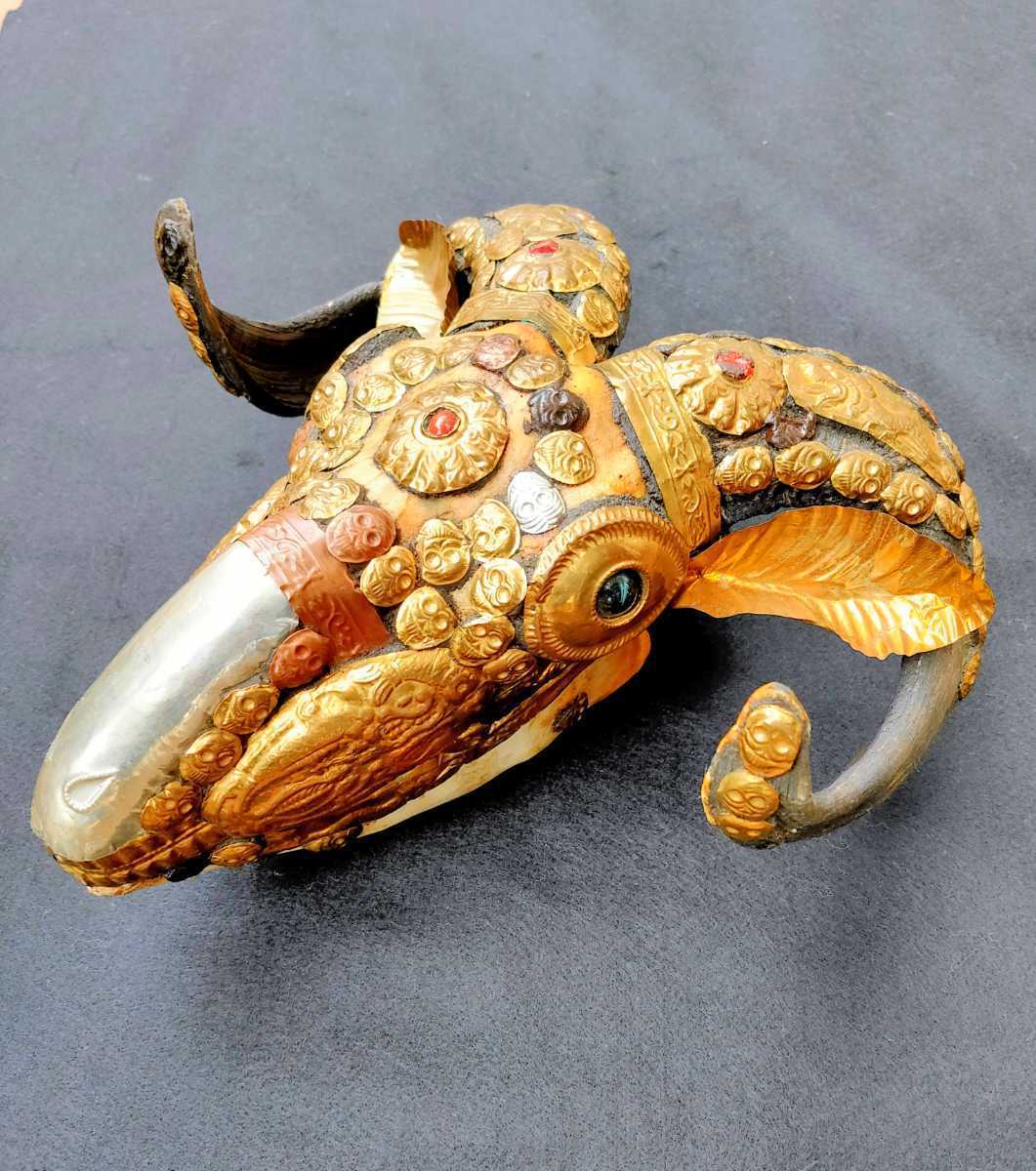 ヤギの頭骨 チベタンスカル