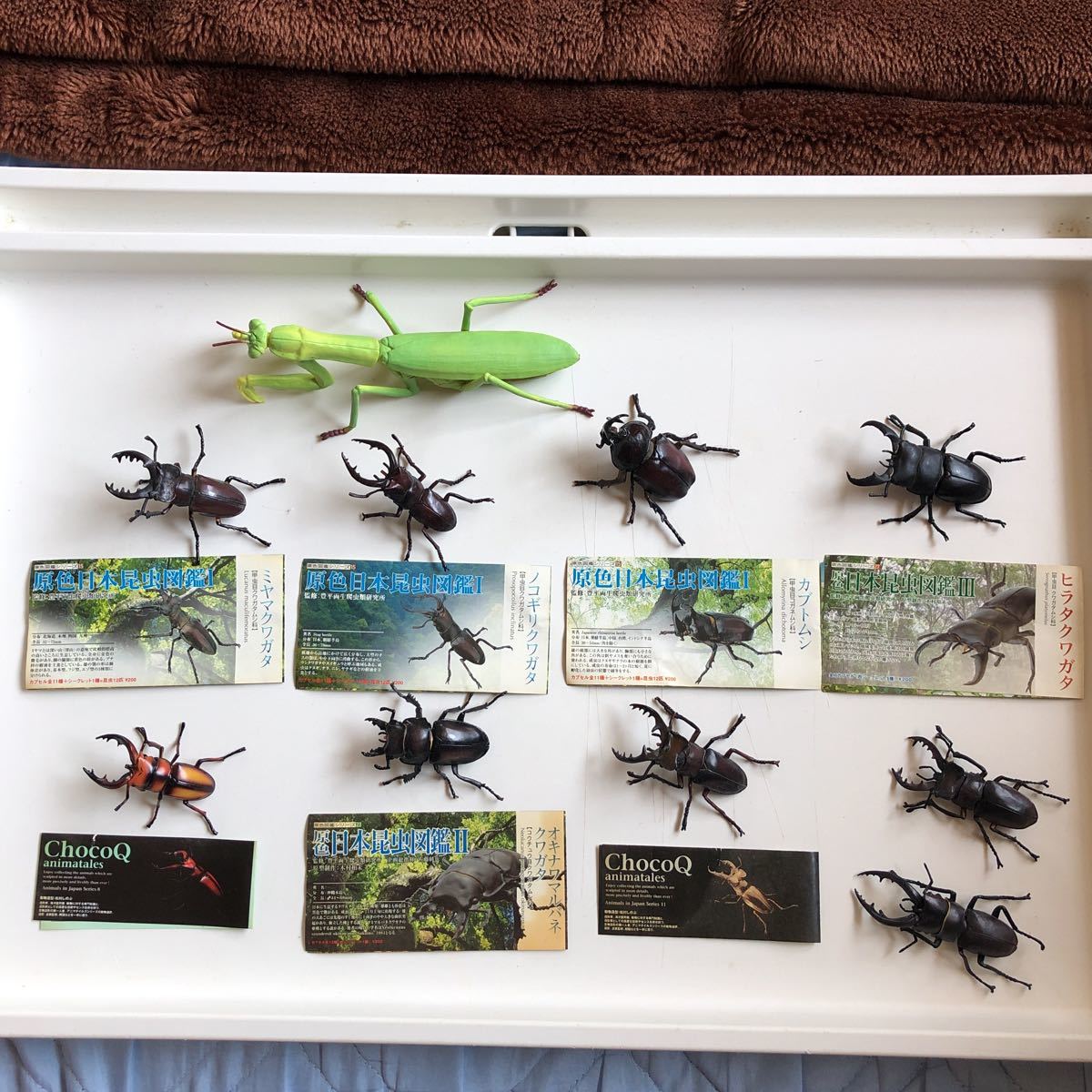 原色日本甲虫図鑑 1