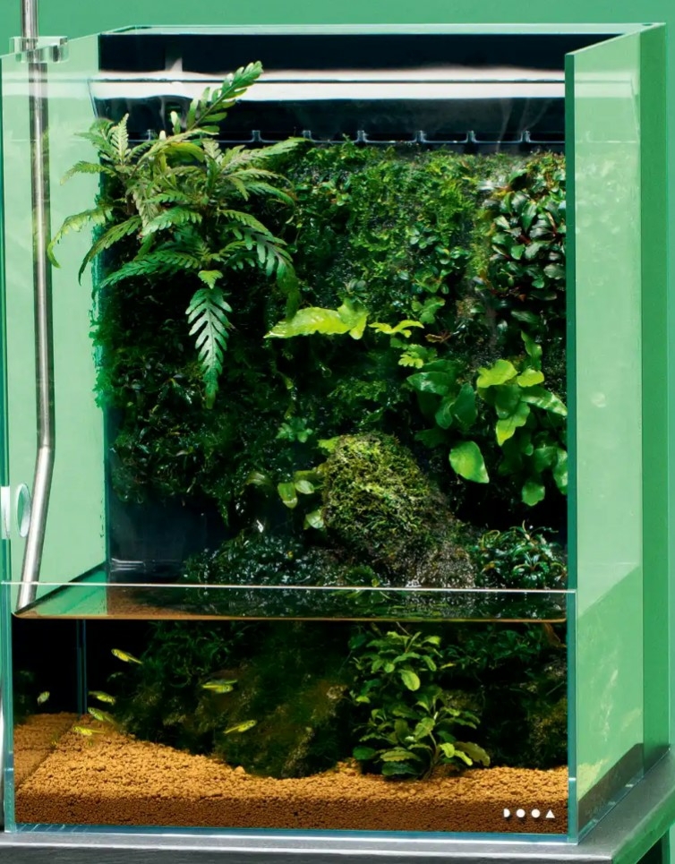 ADA システムテラ30 ミストフロー テラリウム