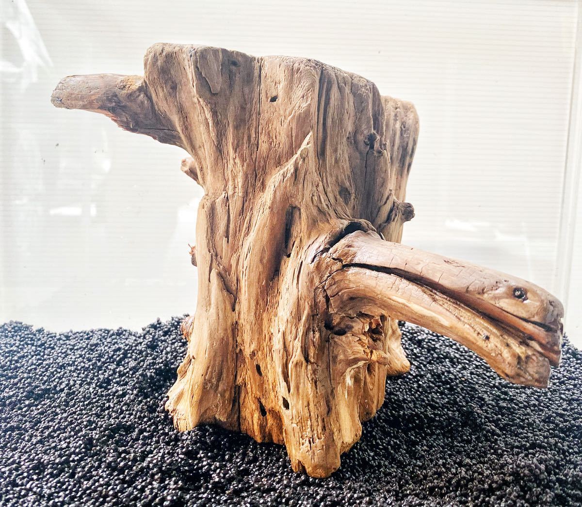 天然木 枯れ木 切り株 流木 オブジェ 床の間 飾り 希少 アート 天然木